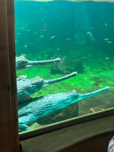 ZOO PRAHA aneb výlet s divokými sedmáky